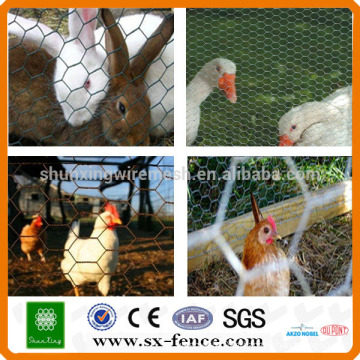 ISO9001: 2008 Fábrica real de fornecimento de aves de fazenda de esgrima